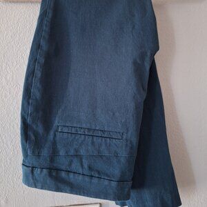 Ann Taylor Green Ankle Pants, Side Zip, Ankle Zippers, Back Slit Pockets Size 12